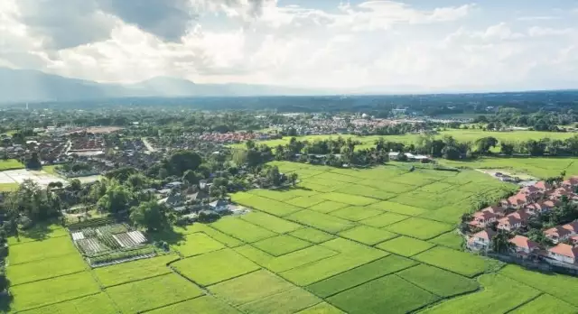 Farm-Landscape