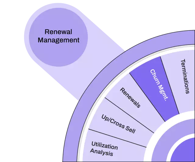 Renew and Expand processes—churn management